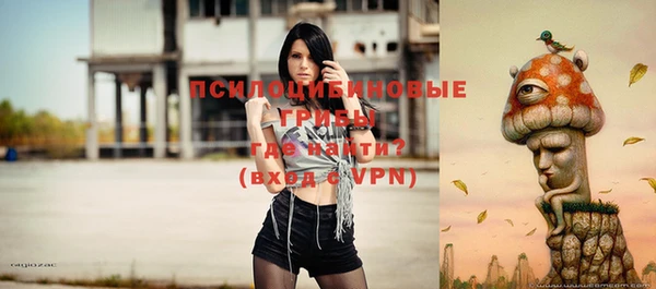 дурь Богданович