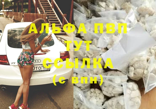 дурь Богданович