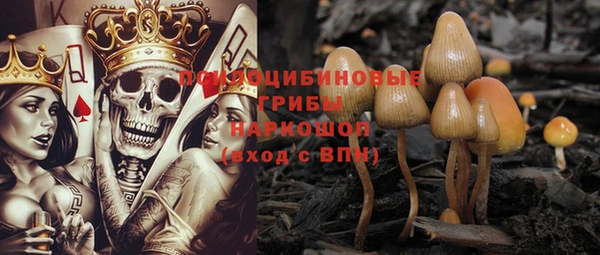 бошки Богородицк
