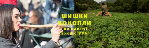 дурь Богданович