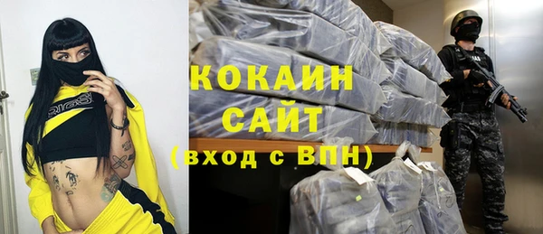 бошки Богородицк