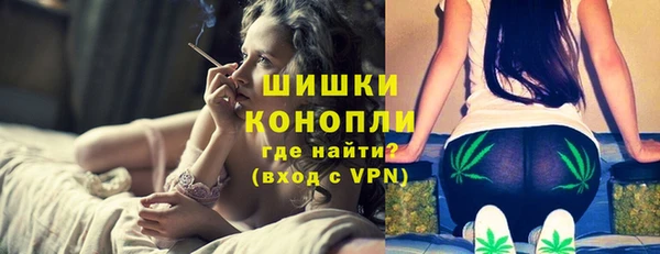 бошки Богородицк