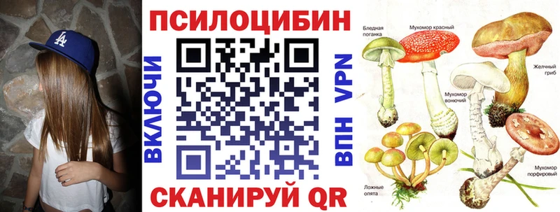 Купить  Костомукша  Псилоцибиновые грибы мицелий 